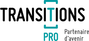 logo transition pro